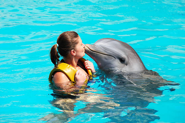 Swim with Dolphins