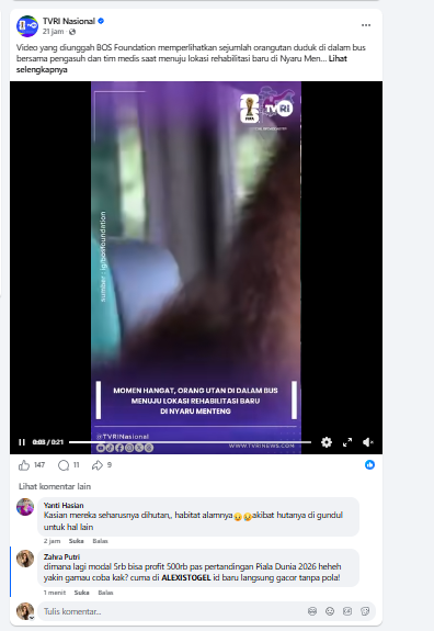 Screenshot 10.png