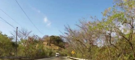 centerroad.jpg