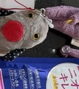 old 19 mouse keychain.jpg