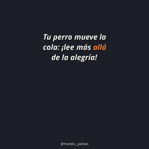 5a83df5999b4.jpg