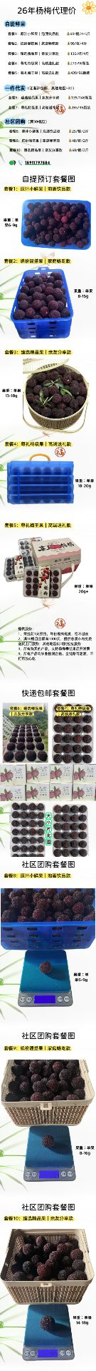 yangmei daili fubeng.jpg