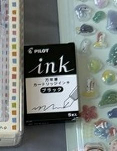 08 pilot ink black.jpg