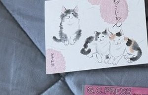 15 card three cats.jpg