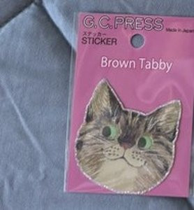 16 sticker brown tabby.jpg