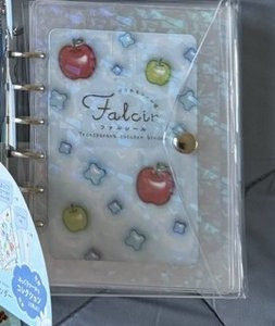 18 falcir apple notebook.jpg