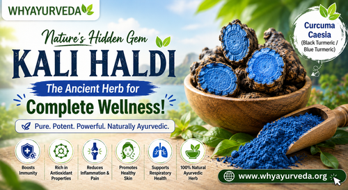 Kali Haldi Nature’s Ayurvedic Power.png
