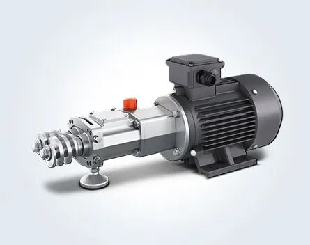 Fds Twin Screw Pumps for Smooth Liquid Transfer.png