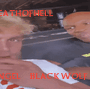12.gif