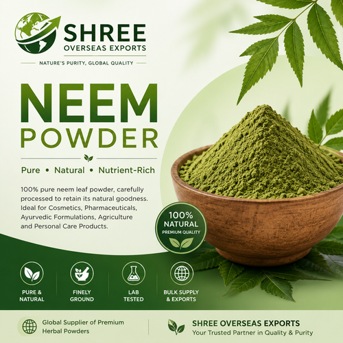 Neem Powder Wholesale Suppliers A Complete B2B Guide for Global Buyers.png