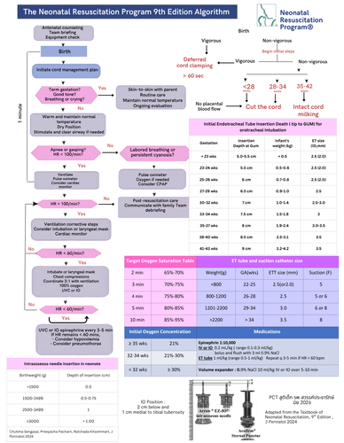 The Neonatal Resuscitation Program 9th Edition Algorithm.png