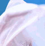20260530 110124.gif