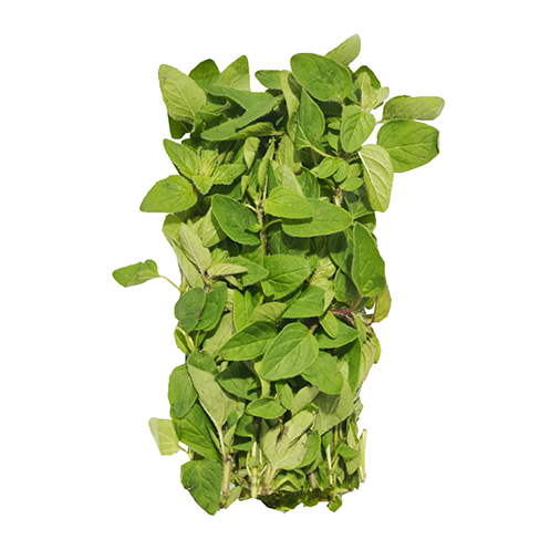 S oregano.png