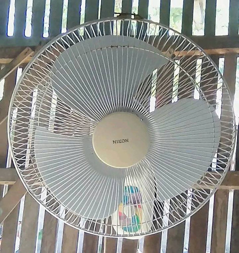 e4c7429a30c8.jpg