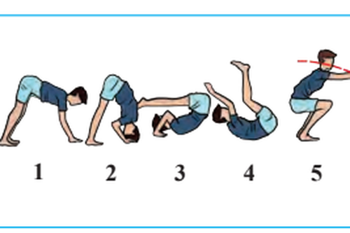5fb213901a12e.png