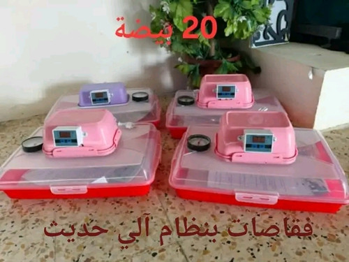 1780086004891.jpg
