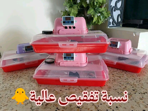 1780086086683.jpg