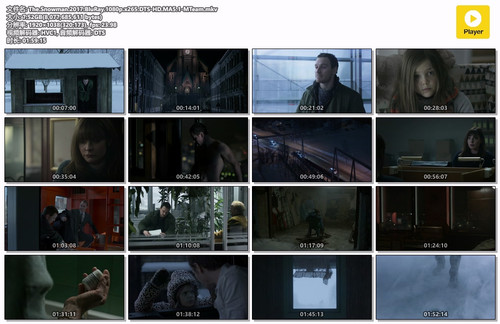The.Snowman.2017.BluRay.1080p.x265.DTS HD.MA5.1 MTeam.mkv.jpg