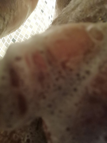 IMG 20260529 215457.jpg