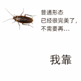 1000055933.gif