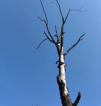 Screenshot.jpg
