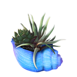 4anni 03.png