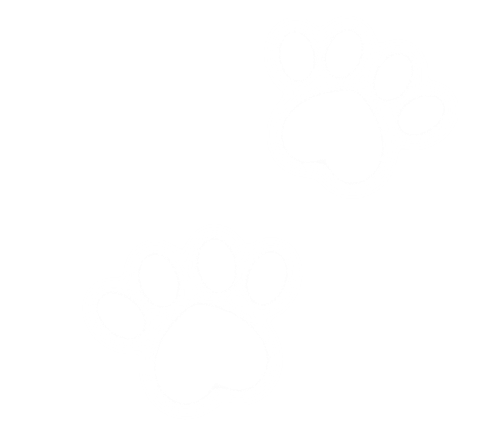 1000133634.png