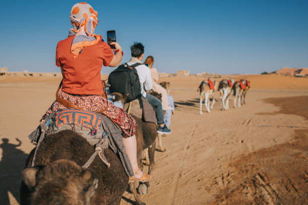 Camel Ride
