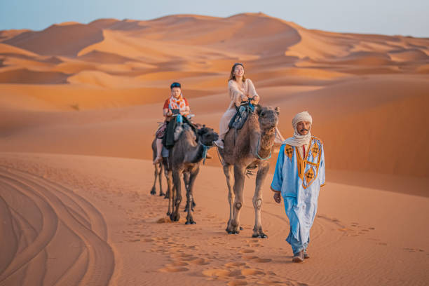 Camel Ride
