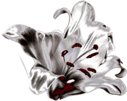 Image 1779882318640 476.png