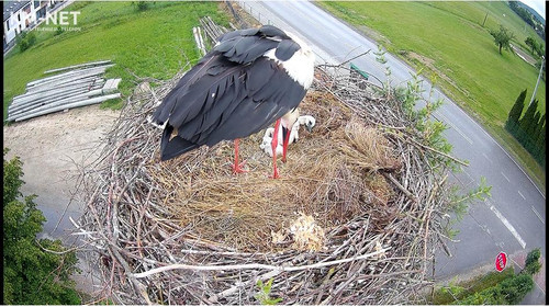 MWSnap420.jpg