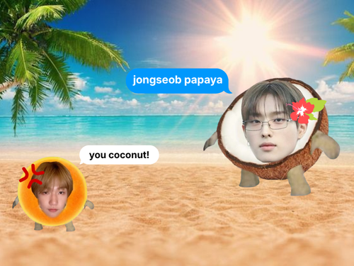 jongseob papaya.png