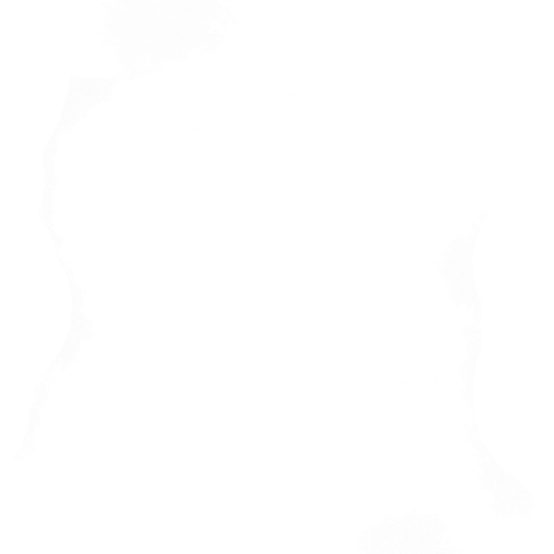 遮罩.png