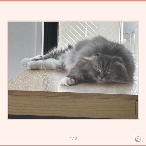 fd7865bb82f8.png