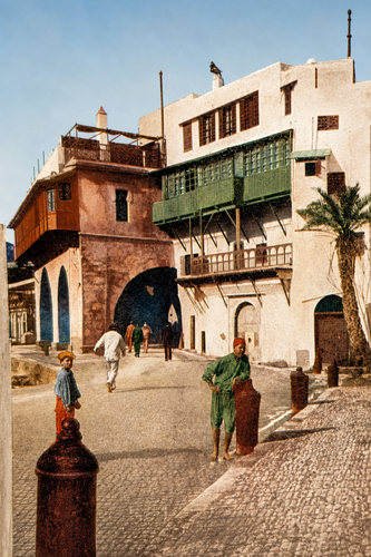 algiers full print 4k.png