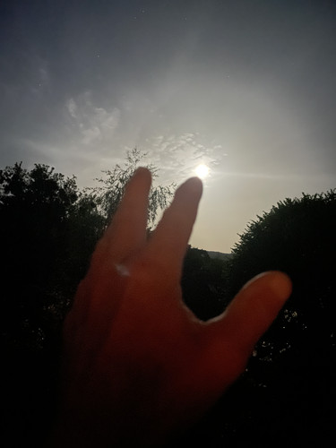 IMG 0168.jpg