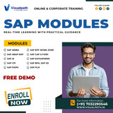 Learn the Top SAP Modules Companies Are Actively Hiring For