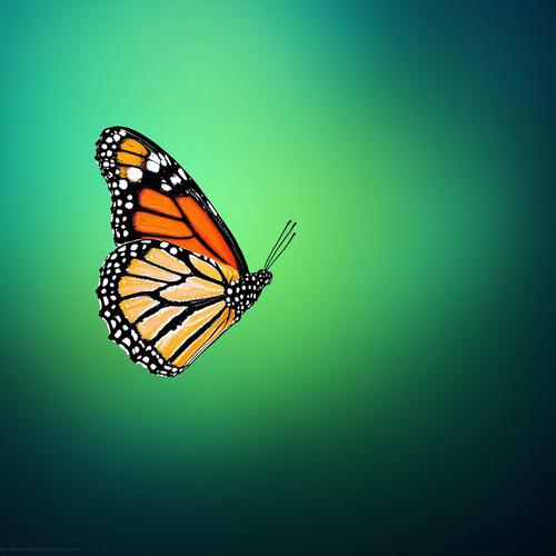 3fd12975df6f.png