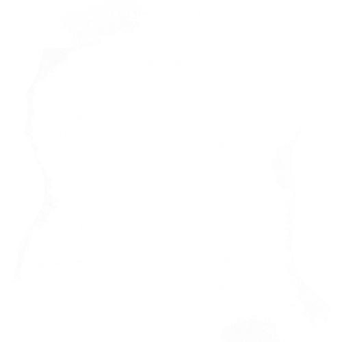 遮罩.png