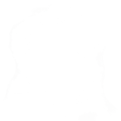 遮罩.png