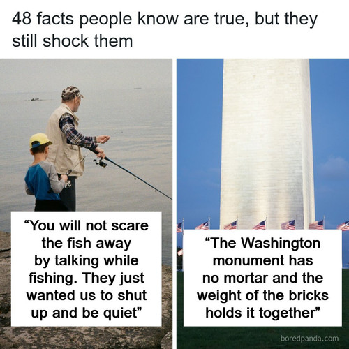 shocking facts.jpg