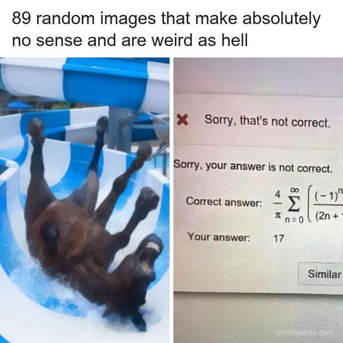 unhinged memes choppedmemer.jpg