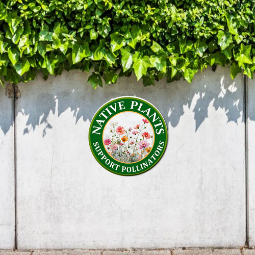 446 23圆 22.png