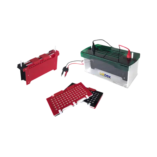 LabDex Western Blotting System for Molecular Biology.webp