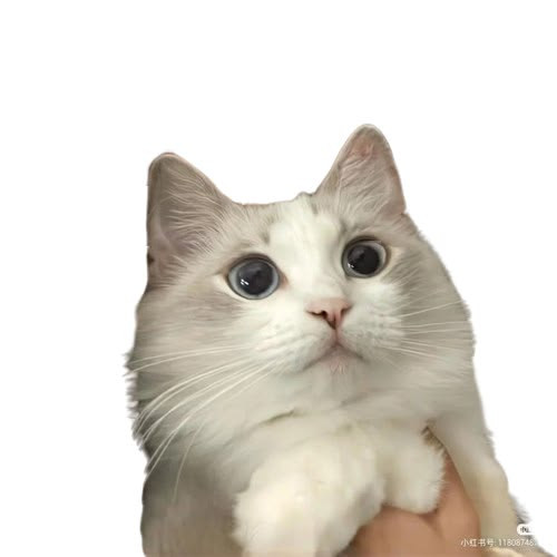 e6ef42ee2eb9.jpg