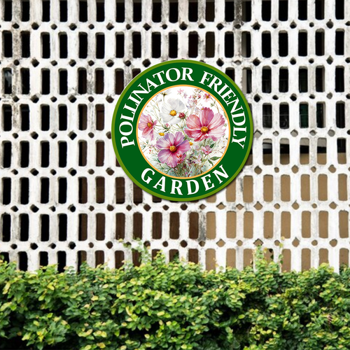 446 23圆 21.png