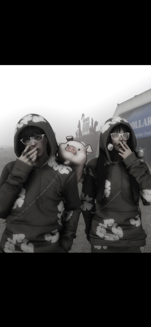 IMG 8195.png