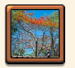 Screenshot 2569 05 30 at 16.26.58.png
