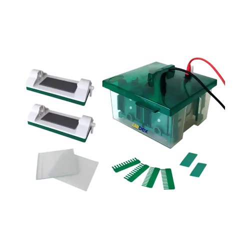 Vertical Electrophoresis Unit for Protein Analysis.webp