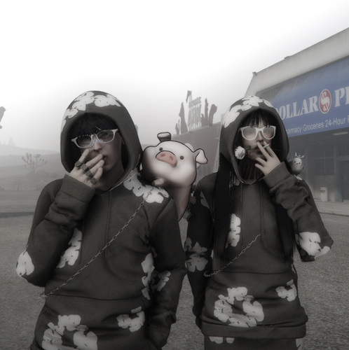 คู่แฟน 1.png